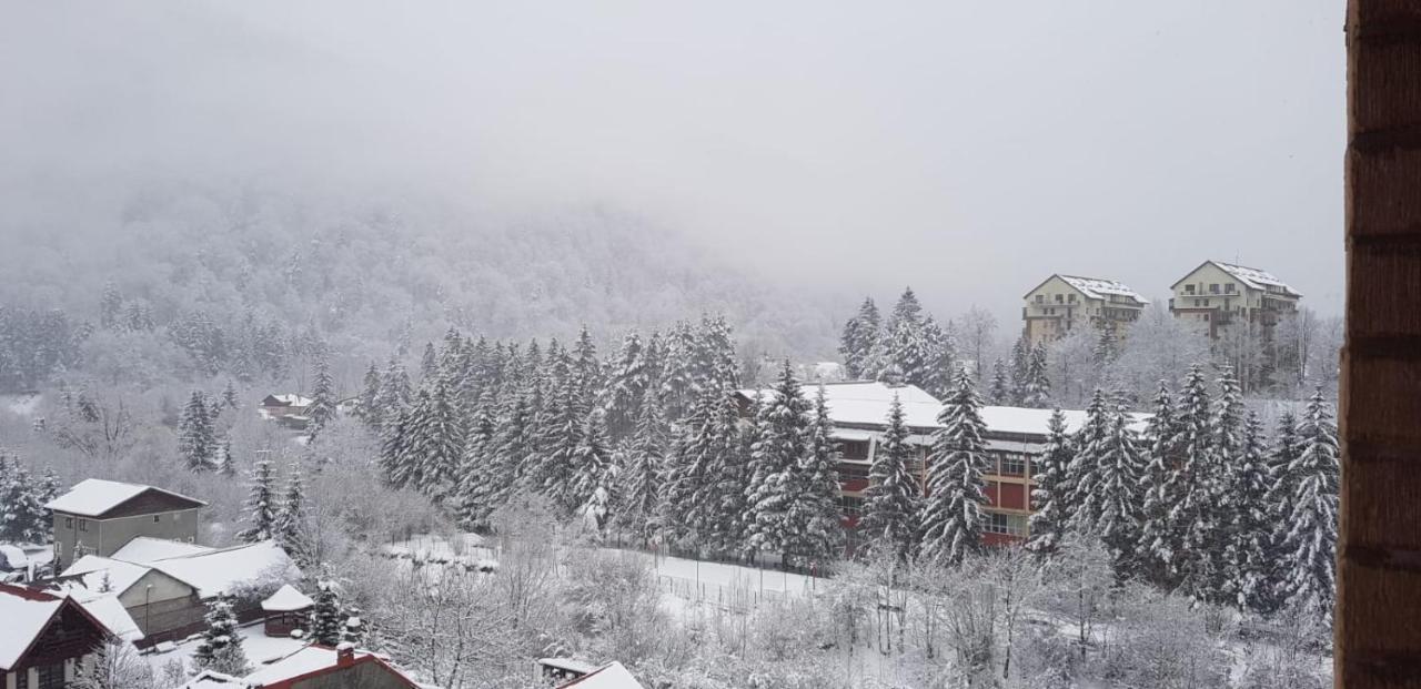 Elite Apartments Sinaia Exteriör bild