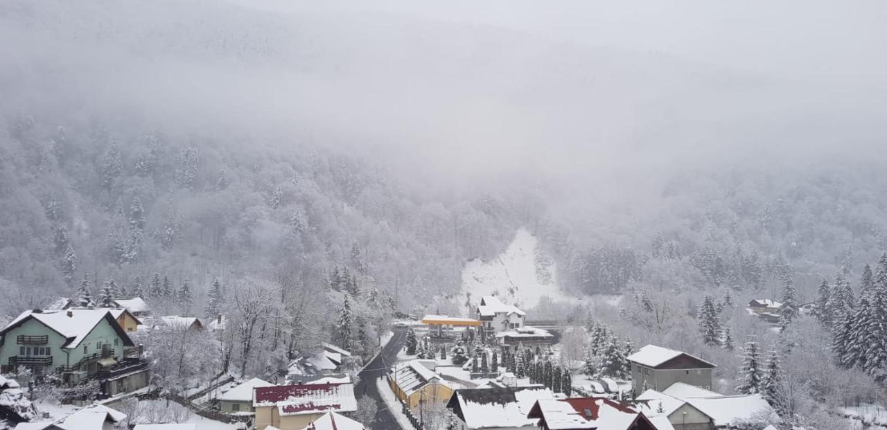 Elite Apartments Sinaia Exteriör bild