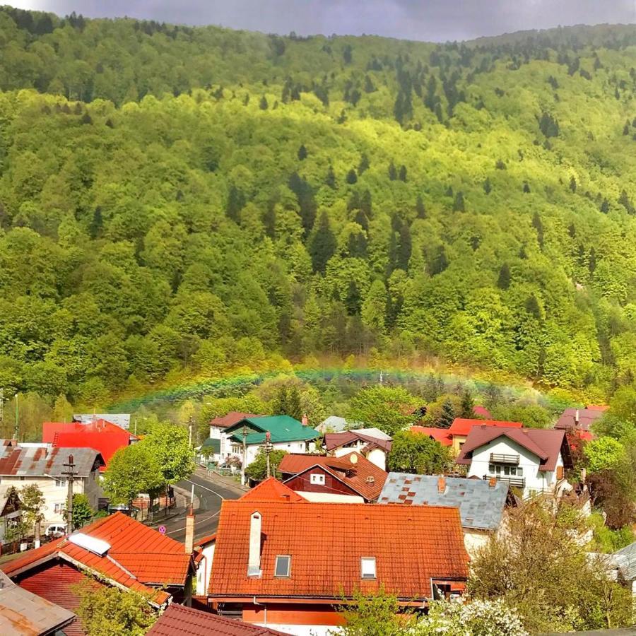 Elite Apartments Sinaia Exteriör bild